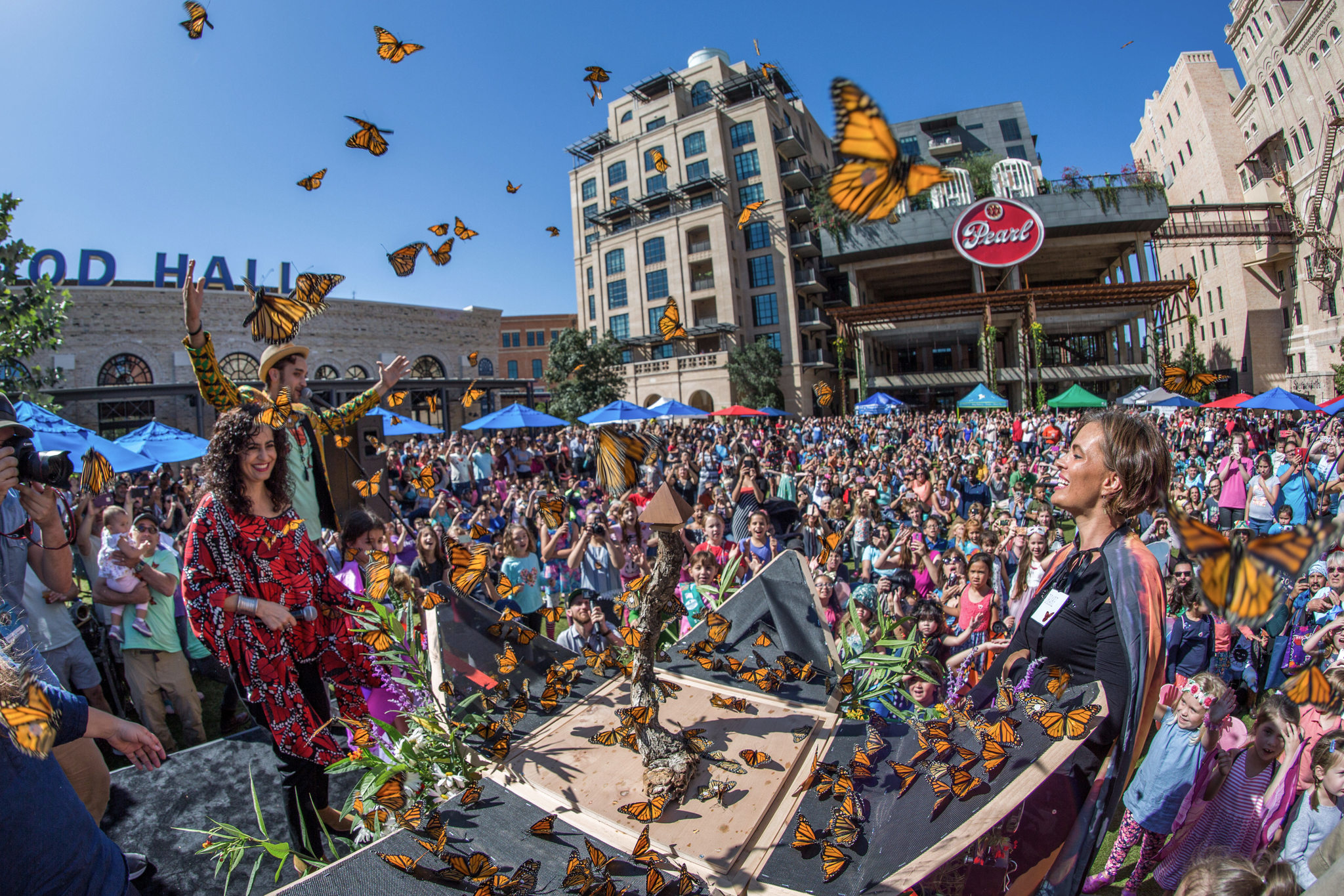 monarchbutterflyrelease