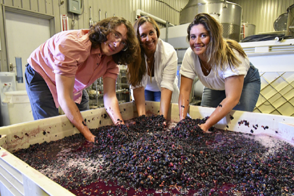 williamchrisvineyards